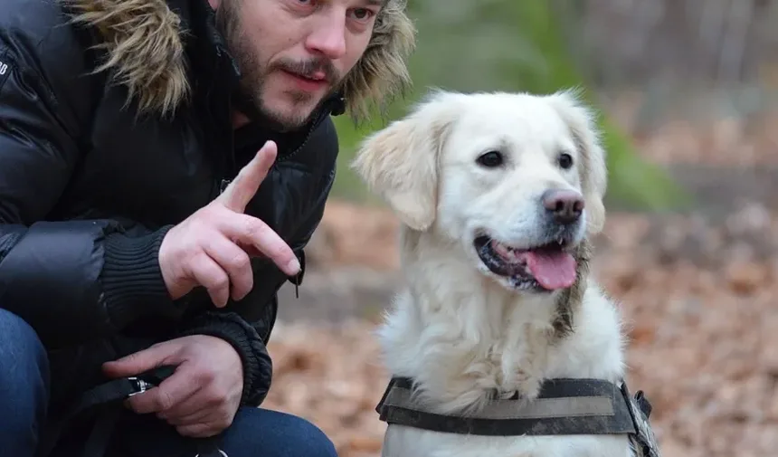 Corte de Orelhas em Cães: Mitos e Verdades que Todo Proprietário Deve Conhecer